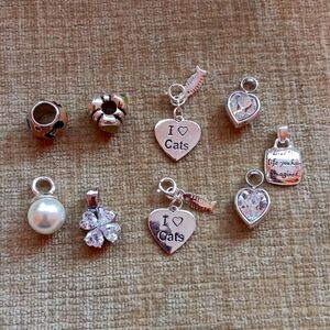 Silver Tone Bracelet Charms
